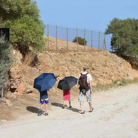 Case Di Calamazzo